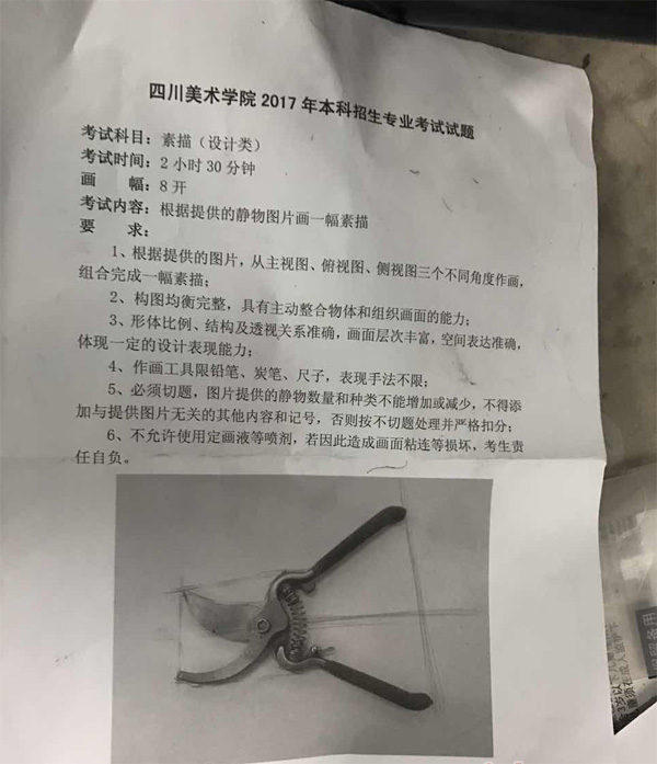 2017年四川美術(shù)學(xué)院設(shè)計(jì)專業(yè)素描校考考題(重慶考點(diǎn)).jpg