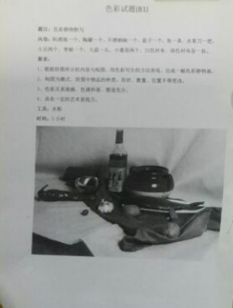 2017年鄭州大學美術(shù)類校考色彩考題(山東考點).png